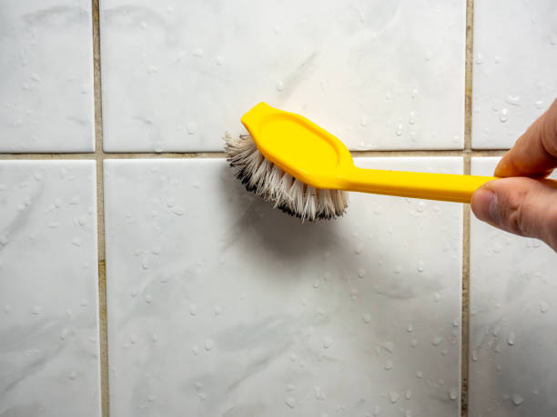 Best Toxic Mold Removal  in Hopatcong, NJ