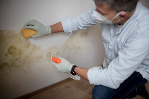 Best Crawl Space Mold Removal  in Hopatcong, NJ