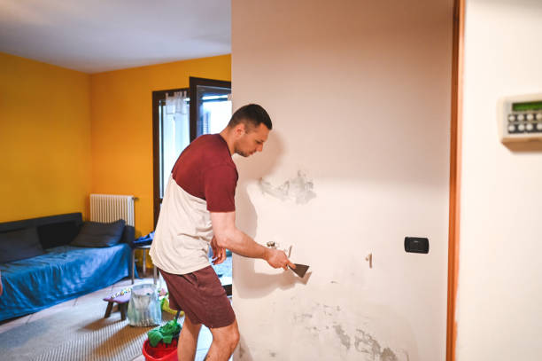 Best Affordable Mold Removal  in Hopatcong, NJ